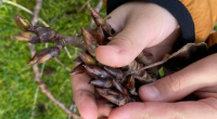 Across the District, outdoor learning has been on the rise. In addition to the health benefits and fresh air while outside, students have been exploring Indigenous principles and feelings […]