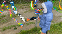Buckingham Elementary and Stoney Creek Community School are the latest two Burnaby Schools to install colourful hand-painted images of fish on their fences, as part of their Stream of […]